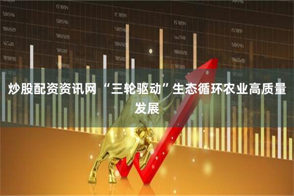 炒股配资资讯网 “三轮驱动”生态循环农业高质量发展