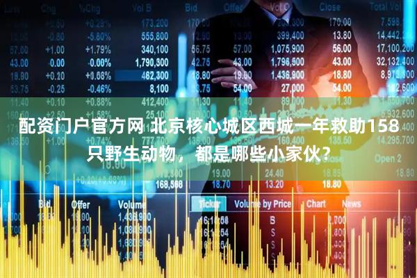 配资门户官方网 北京核心城区西城一年救助158只野生动物，都是哪些小家伙？