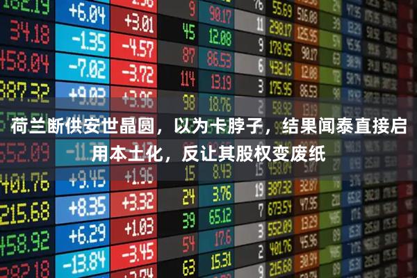 荷兰断供安世晶圆，以为卡脖子，结果闻泰直接启用本土化，反让其股权变废纸