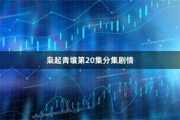 枭起青壤第20集分集剧情