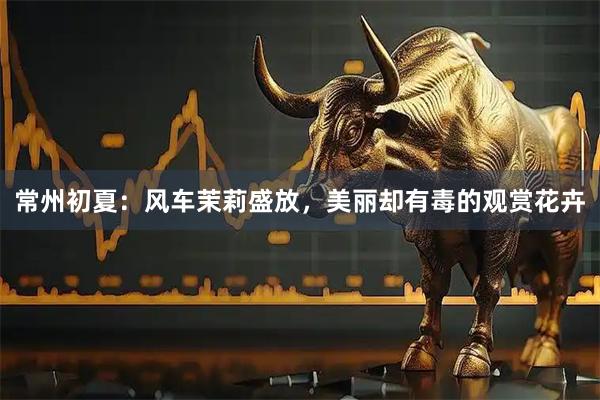 常州初夏：风车茉莉盛放，美丽却有毒的观赏花卉
