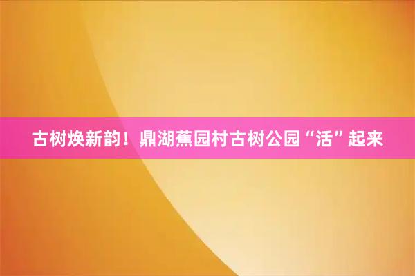 古树焕新韵！鼎湖蕉园村古树公园“活”起来
