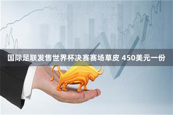 国际足联发售世界杯决赛赛场草皮 450美元一份